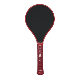 Training Pickleball Paddle